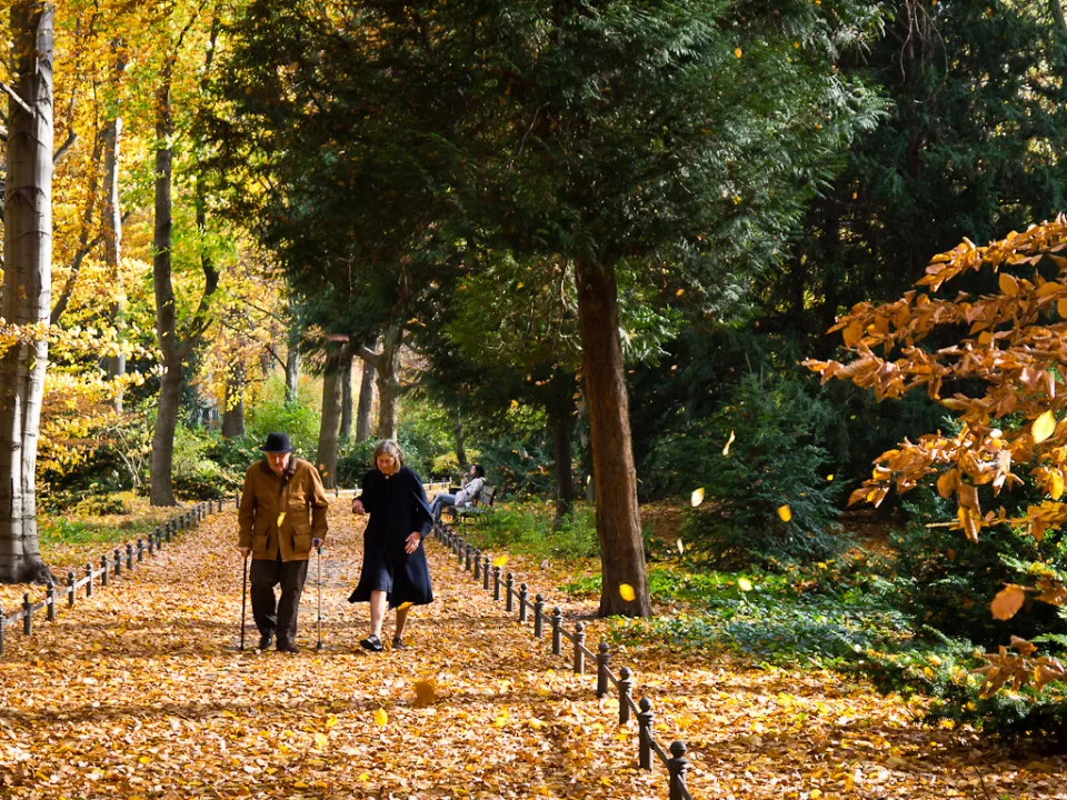 DE Landscape 08: Tiergarten Old Couple